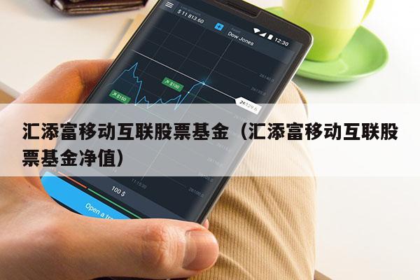 汇添富移动互联股票基金（汇添富移动互联股票基金净值）