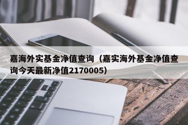 嘉海外实基金净值查询（嘉实海外基金净值查询今天最新净值2170005）