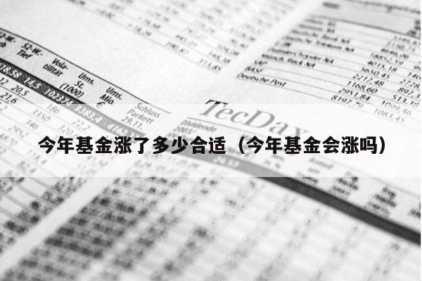 今年基金涨了多少合适（今年基金会涨吗）