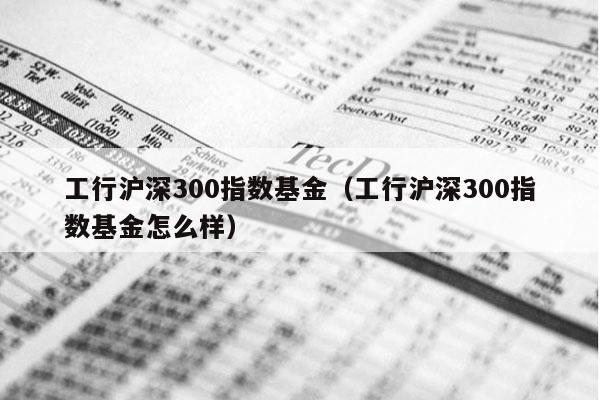 工行沪深300指数基金（工行沪深300指数基金怎么样）