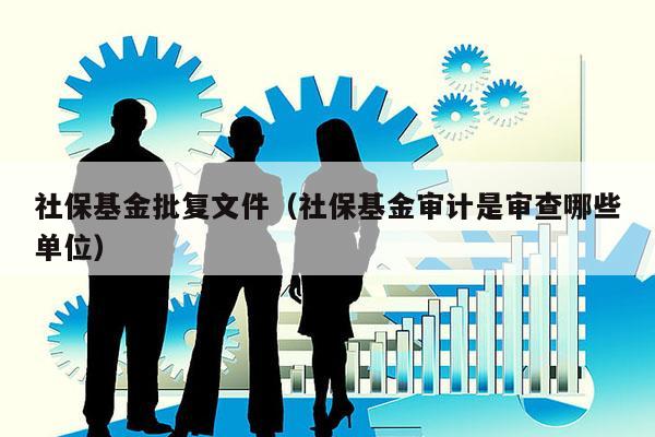 社保基金批复文件（社保基金审计是审查哪些单位）