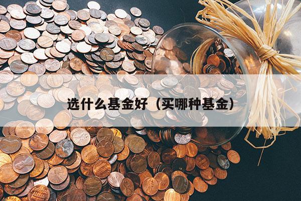 选什么基金好（买哪种基金）