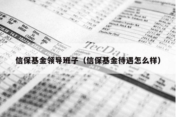 信保基金领导班子（信保基金待遇怎么样）