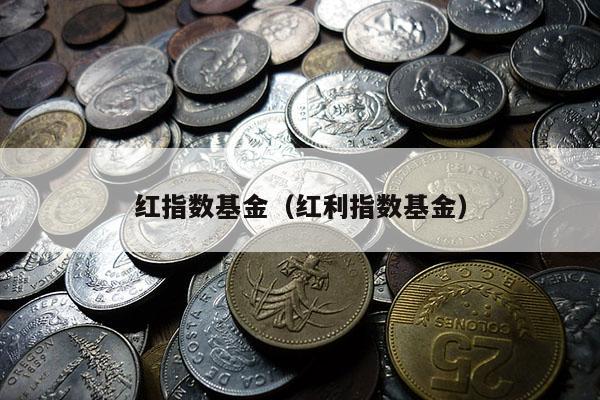 红指数基金（红利指数基金）