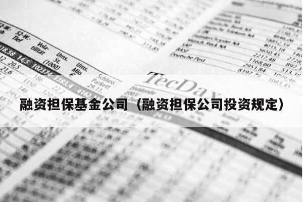 融资担保基金公司（融资担保公司投资规定）