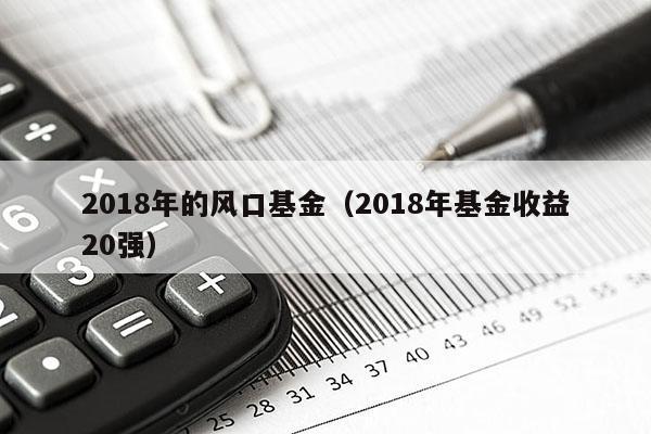 2018年的风口基金（2018年基金收益20强）