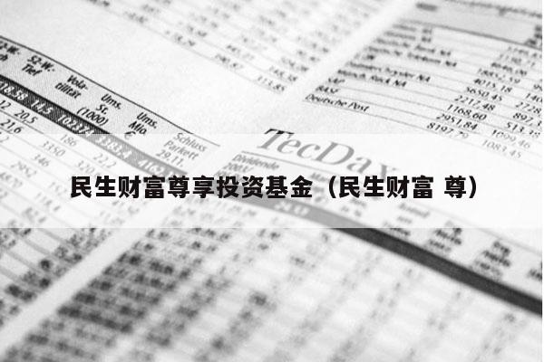 民生财富尊享投资基金（民生财富 尊）