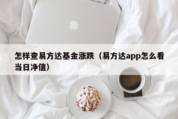 怎样查易方达基金涨跌（易方达app怎么看当日净值）