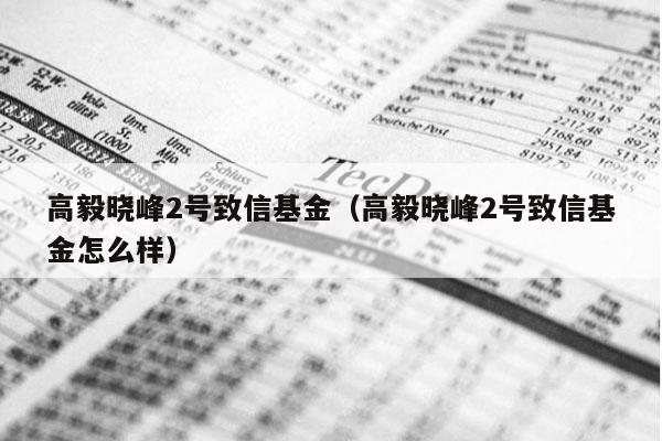 高毅晓峰2号致信基金（高毅晓峰2号致信基金怎么样）