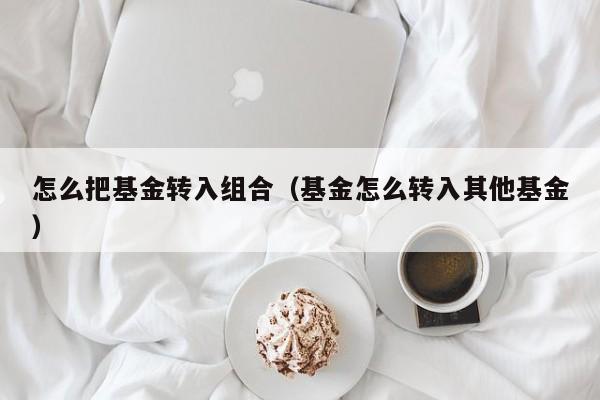 怎么把基金转入组合（基金怎么转入其他基金）