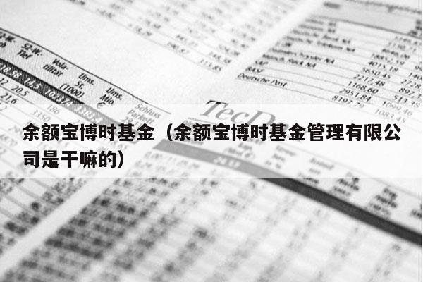 余额宝博时基金（余额宝博时基金管理有限公司是干嘛的）