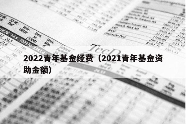 2022青年基金经费（2021青年基金资助金额）