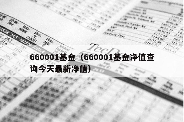 660001基金（660001基金净值查询今天最新净值）