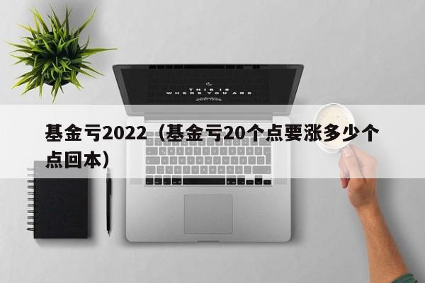 基金亏2022（基金亏20个点要涨多少个点回本）