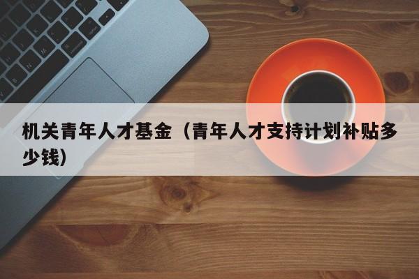 机关青年人才基金（青年人才支持计划补贴多少钱）