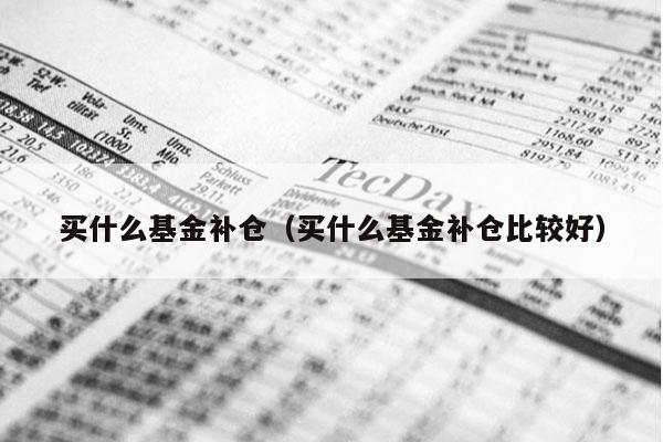 买什么基金补仓（买什么基金补仓比较好）