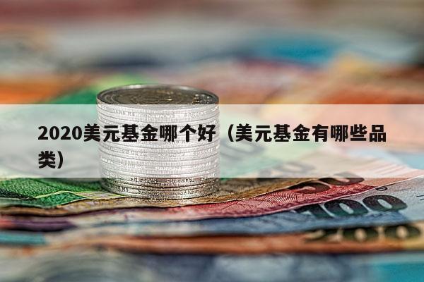 2020美元基金哪个好（美元基金有哪些品类）