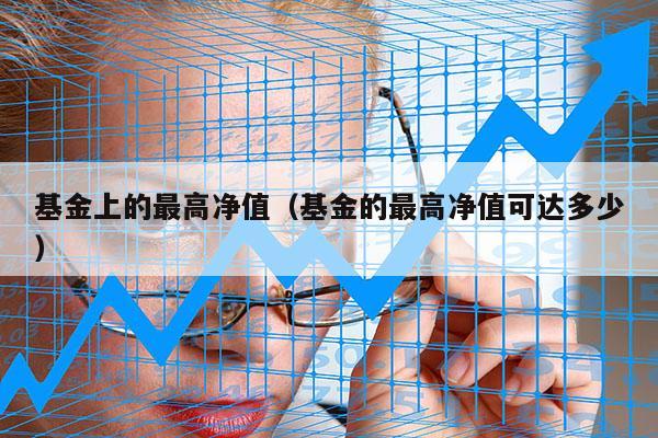 基金上的最高净值（基金的最高净值可达多少）
