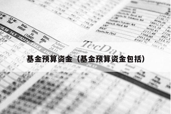 基金预算资金（基金预算资金包括）