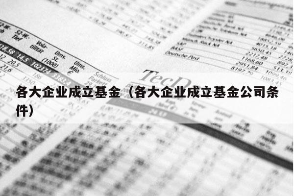 各大企业成立基金（各大企业成立基金公司条件）