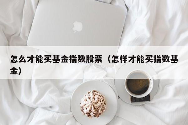 怎么才能买基金指数股票（怎样才能买指数基金）