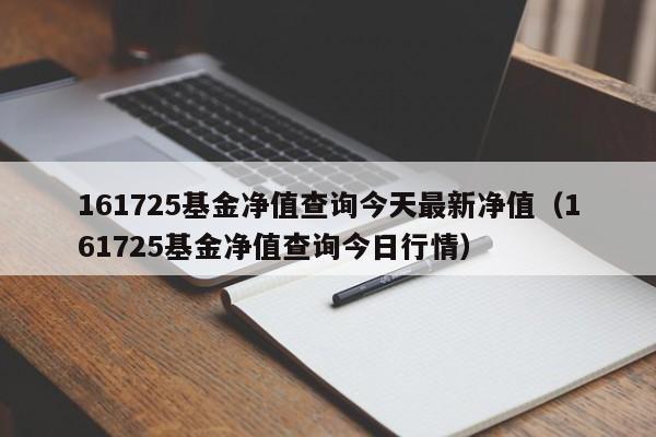 161725基金净值查询今天最新净值（161725基金净值查询今日行情）