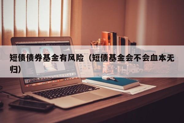 短债债券基金有风险（短债基金会不会血本无归）