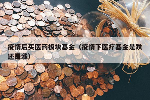 疫情后买医药板块基金（疫情下医疗基金是跌还是涨）