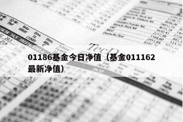 01186基金今日净值（基金011162最新净值）
