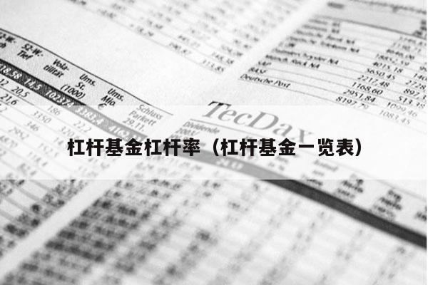 杠杆基金杠杆率（杠杆基金一览表）