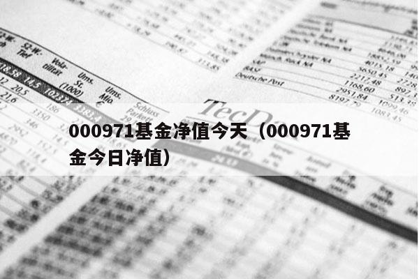 000971基金净值今天（000971基金今日净值）