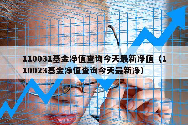 110031基金净值查询今天最新净值（110023基金净值查询今天最新净）