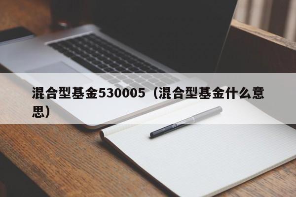 混合型基金530005（混合型基金什么意思）