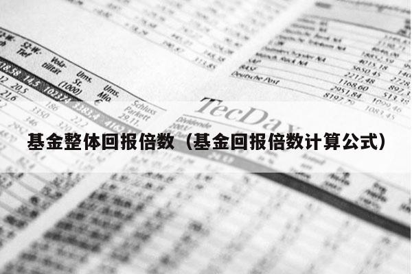基金整体回报倍数（基金回报倍数计算公式）