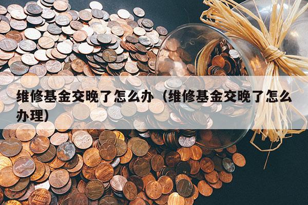 维修基金交晚了怎么办（维修基金交晚了怎么办理）