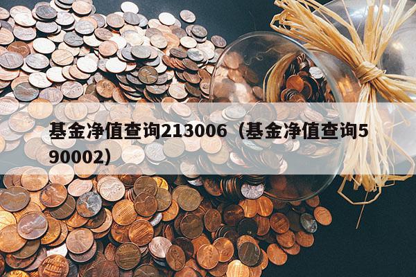 基金净值查询213006（基金净值查询590002）