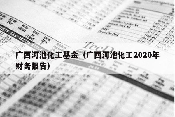 广西河池化工基金（广西河池化工2020年财务报告）