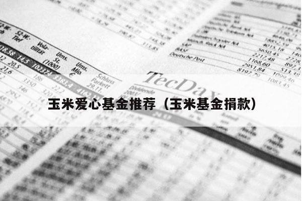 玉米爱心基金推荐（玉米基金捐款）