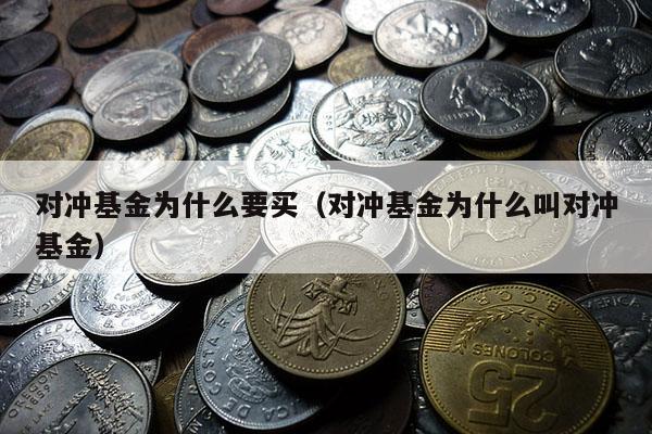 对冲基金为什么要买（对冲基金为什么叫对冲基金）