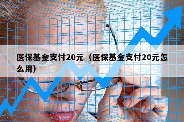 医保基金支付20元（医保基金支付20元怎么用）