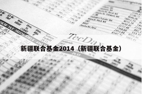 新疆联合基金2014（新疆联合基金）