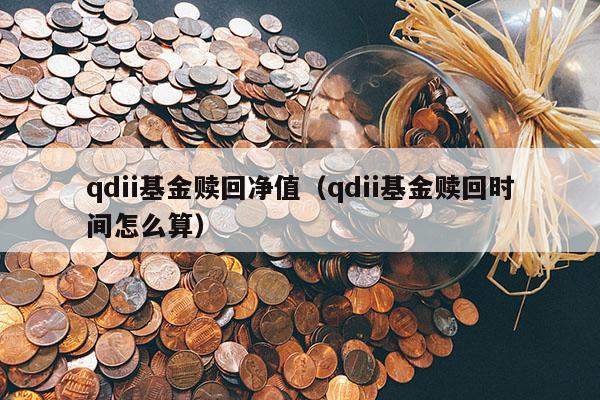 qdii基金赎回净值（qdii基金赎回时间怎么算）