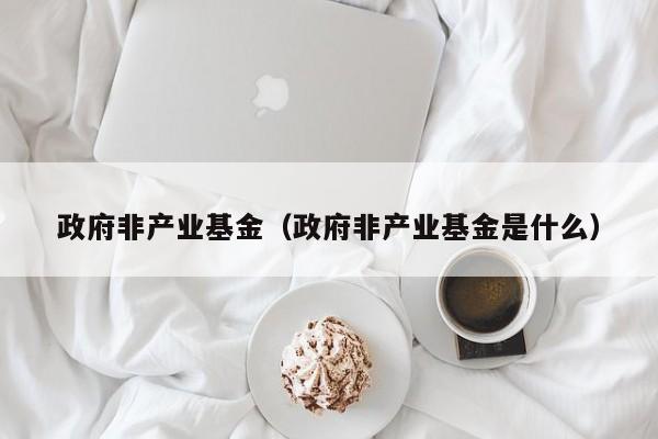 政府非产业基金（政府非产业基金是什么）