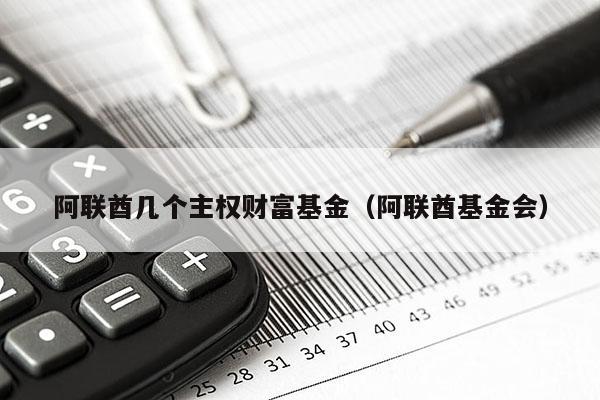 阿联酋几个主权财富基金（阿联酋基金会）