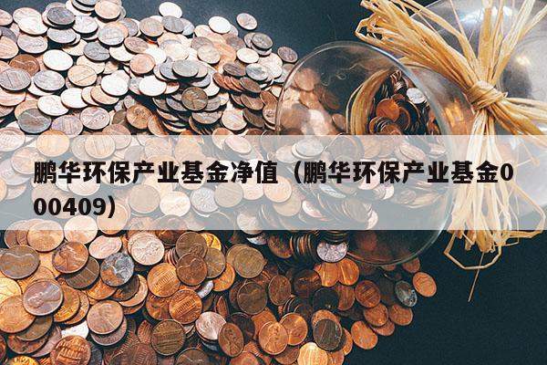 鹏华环保产业基金净值（鹏华环保产业基金000409）