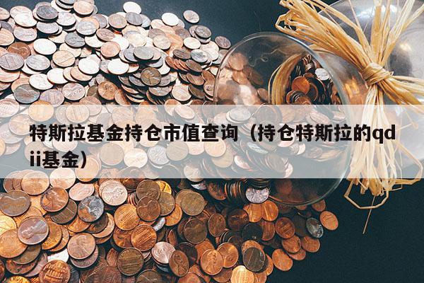 特斯拉基金持仓市值查询（持仓特斯拉的qdii基金）