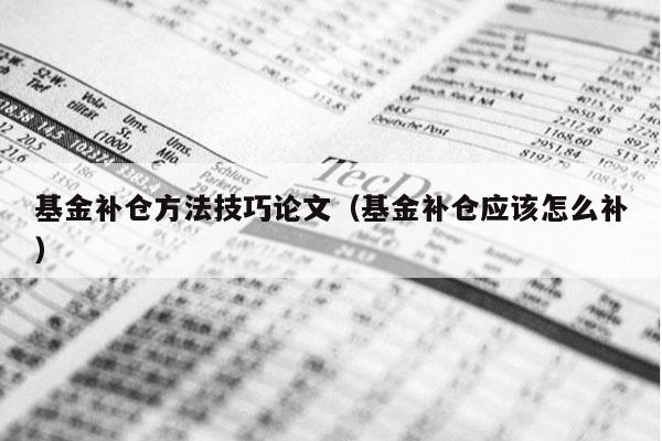 基金补仓方法技巧论文（基金补仓应该怎么补）