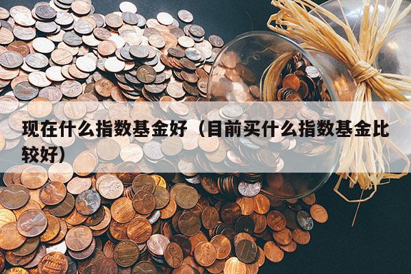 现在什么指数基金好（目前买什么指数基金比较好）