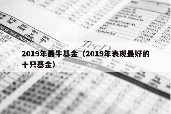 2019年最牛基金（2019年表现最好的十只基金）