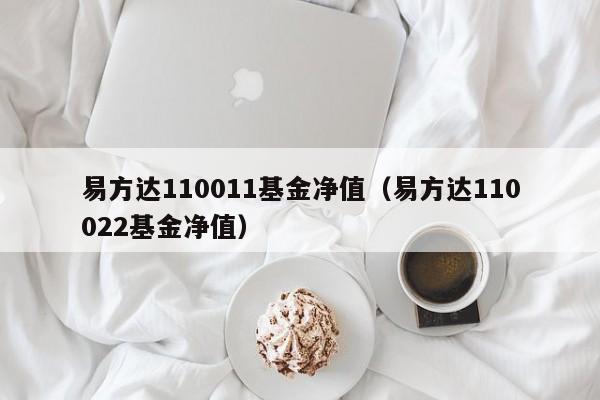 易方达110011基金净值（易方达110022基金净值）